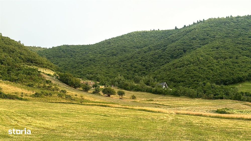 Oportunitate Teren Pt Investitie 3408mp in Gura Raului