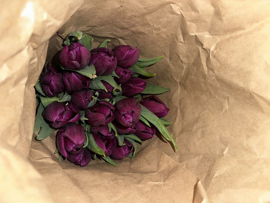 Тюльпаны для подарка | Астана