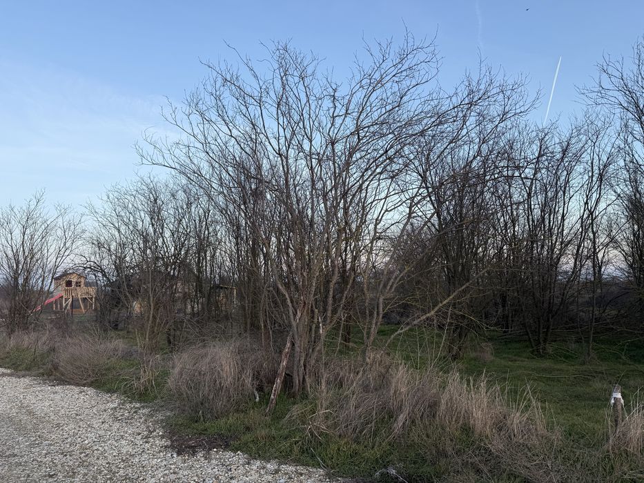 Teren Copaceni Ilfov / Rate /Schimb cu auto