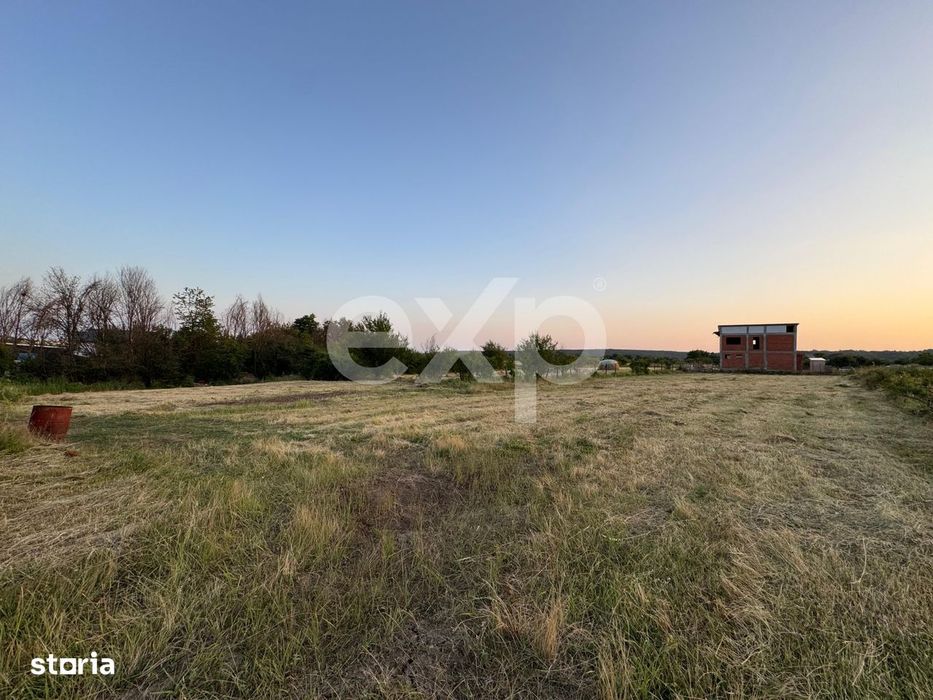 Teren 1650 mp intravilan Trivale - Olteni – cadru natural langa Padu