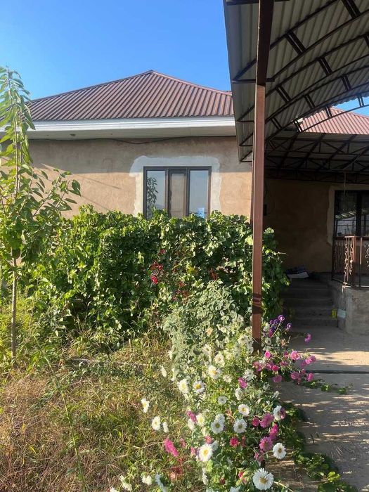 Продам Дом в Шамалган