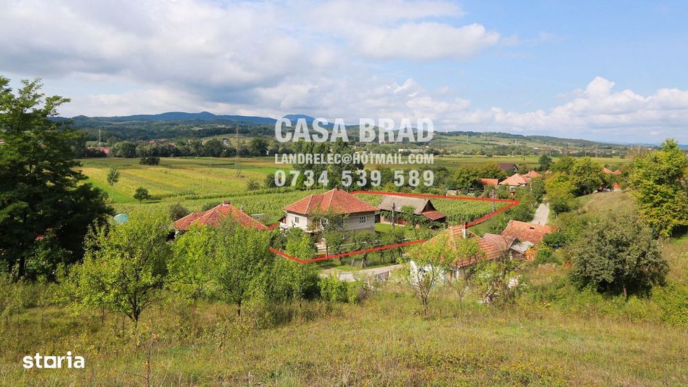 Casă mare cu ~4000 mp teren plat, zonă verde, liniștită, în oraș Brad