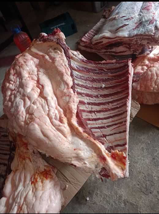 Жылкынын казысы сатылады, халял.