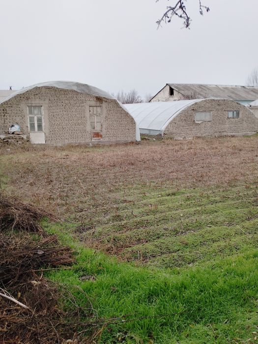 Чек сотилади 8 соток