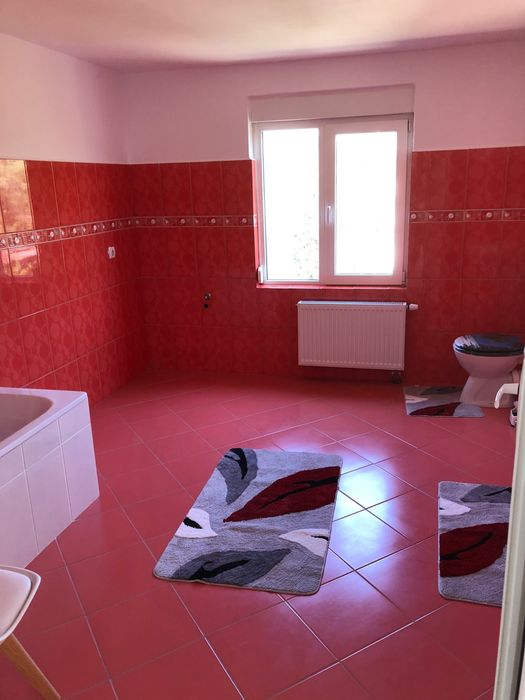 Vila in Viseu de Sus pentru sarbatorile de iarna si  Revelion