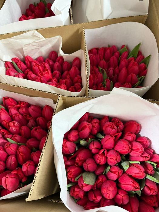 Тюльпаны по низким ценам