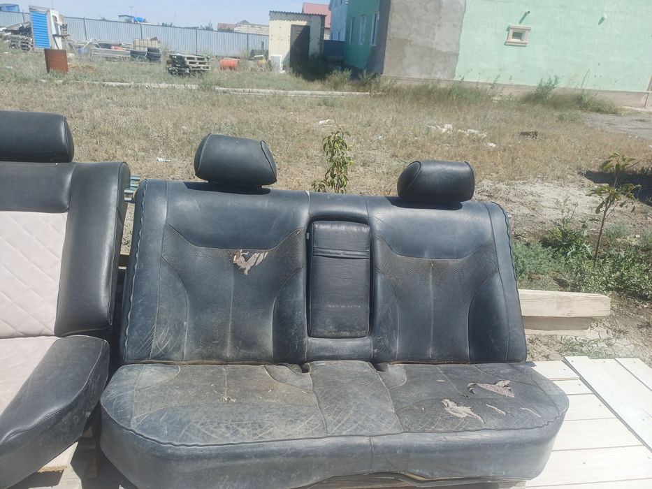 Кабанның сидинасы арзан бағаға
