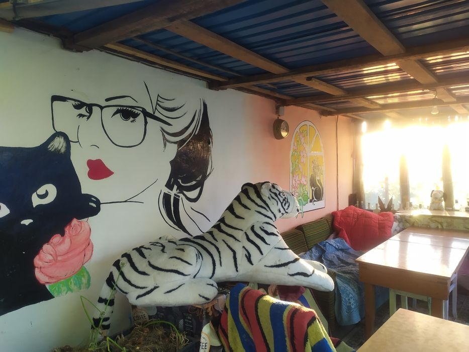 Продам дачу для души