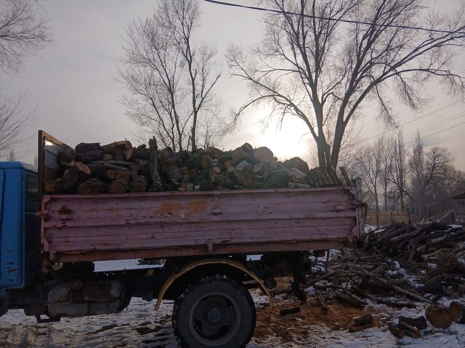 Кебу жиде бар бәрі шөлкеленген