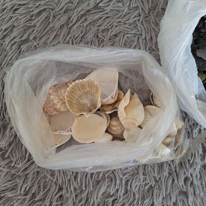 Коряги для аквариума, ракушки, крупный грунт