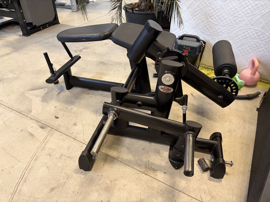 Aparat biceps femural gym80 purekraft