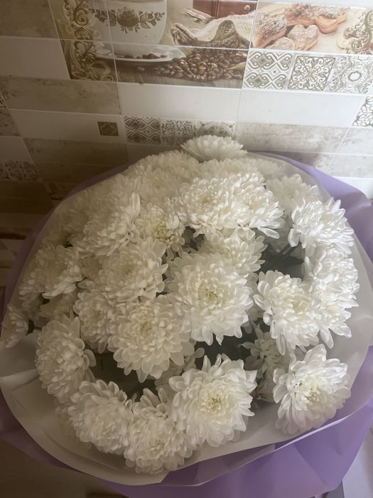 Гүл сатылады. 3000 теңге.