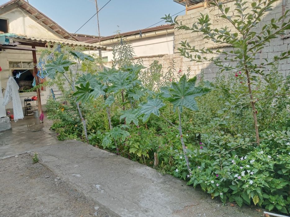 Продам свой дом участок 2,5 сот 4 ком.Шумиловский махалля Ахмад Ясавий