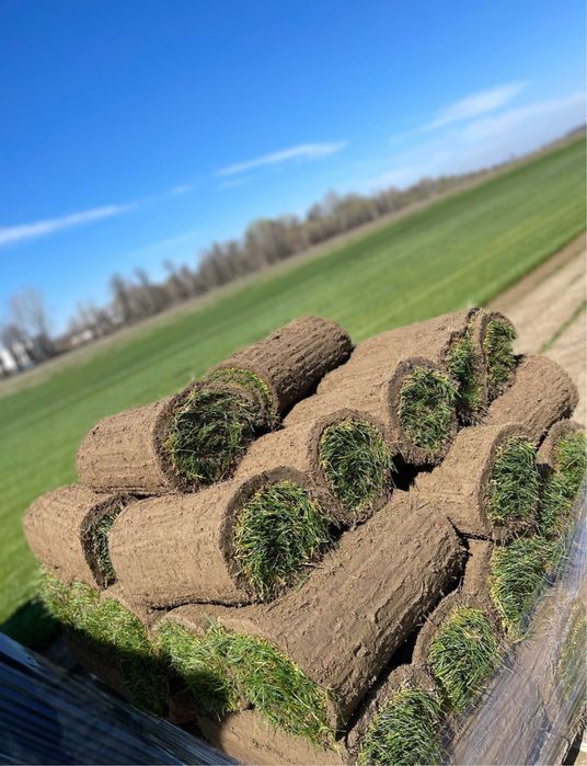 Gazon rulou calitate extra oriunde in tara + montat