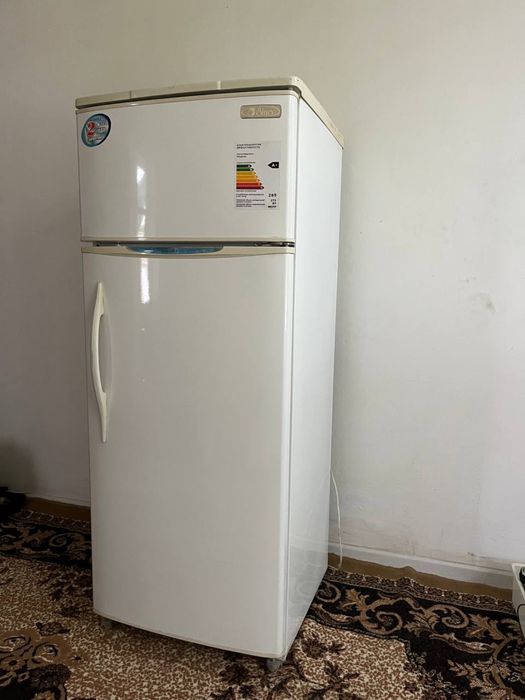 Сино музлатгич сотилади