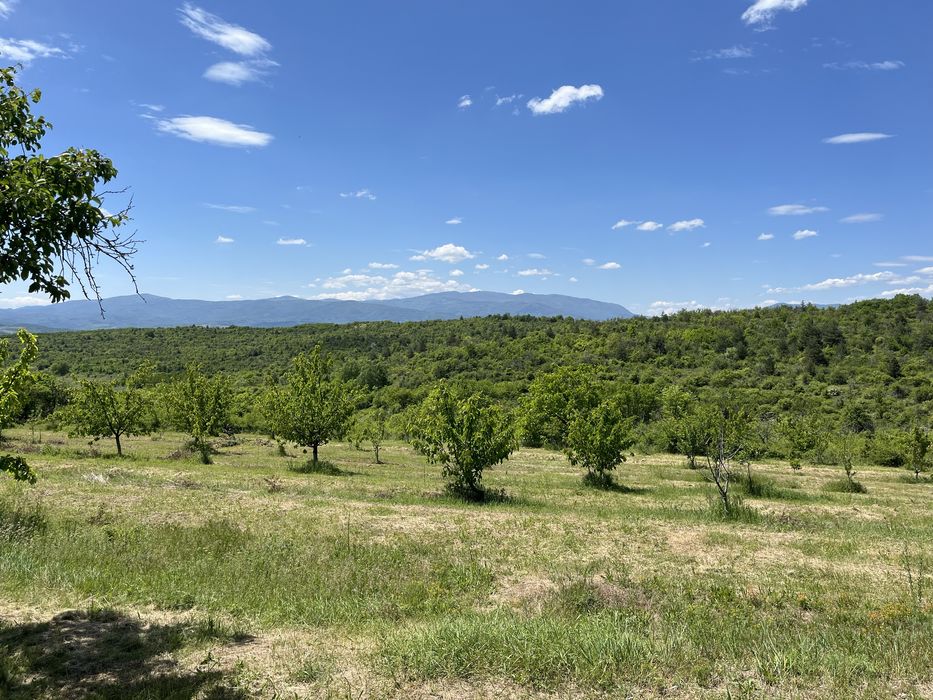 Продава се Земеделски имот в с. Таваличево, Област Кюстендил -  кв.м за 2 €/дка - Снимка #1