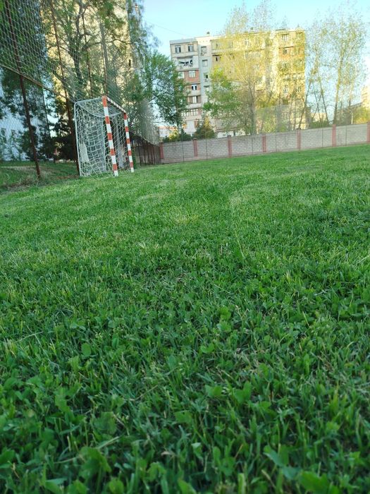 Футбольные поля в аренду с натуральной  и искусственной травой .