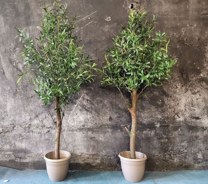 Промо цена изкуствено дръвче