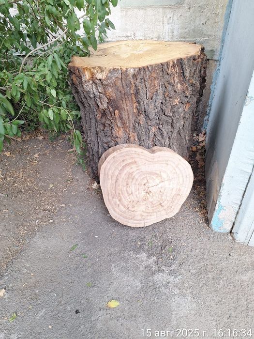 Продам  столешницы и слебы карагача