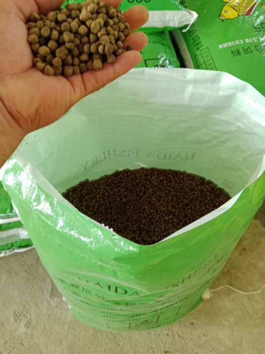 Корм Haida 555 для карпов – быстрый рост и качество напрямую с завода