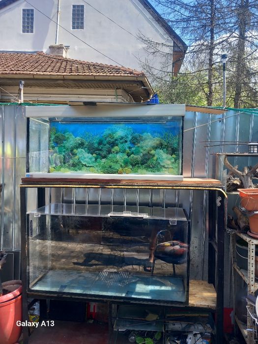 Vand doua acvari din sticla  de 10milimetri nu sunt zgârieturi  pe ele!