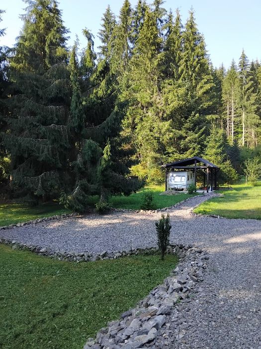 Teren intravilan superb Toplița  pe str. Murelor ptr investiție sau  ptr.locuinta