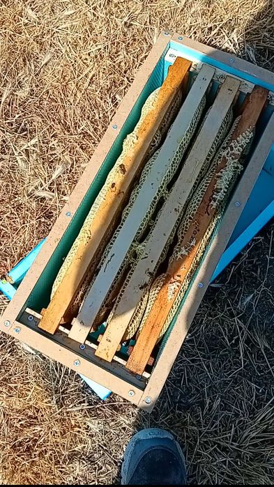 Нуклеуси от фибран