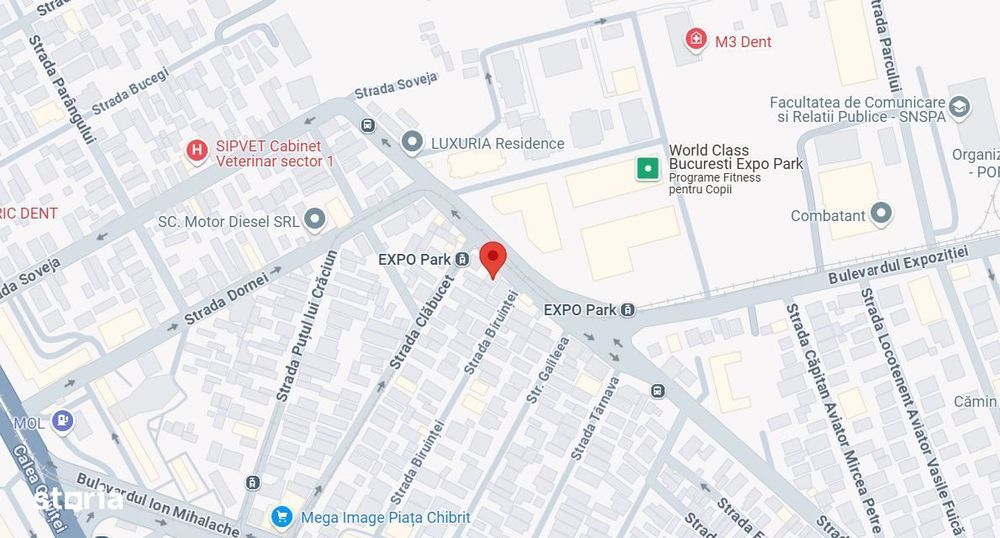 Teren intravilan 189 mp | Domenii | Expozitiei