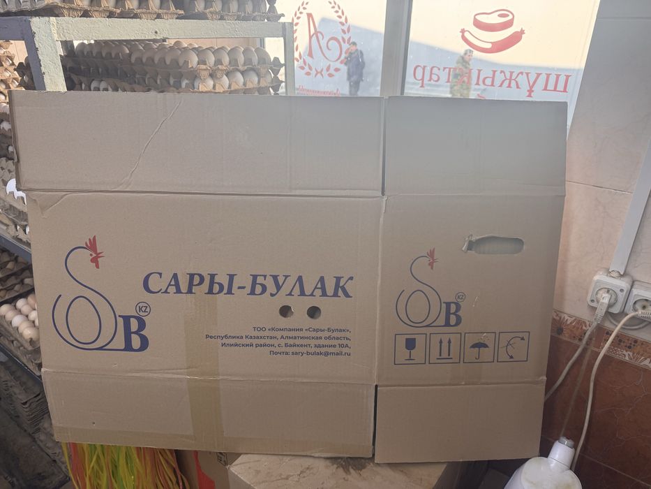 Коробки из под яиц.