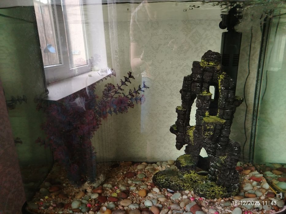 Аквариум (famous globe )