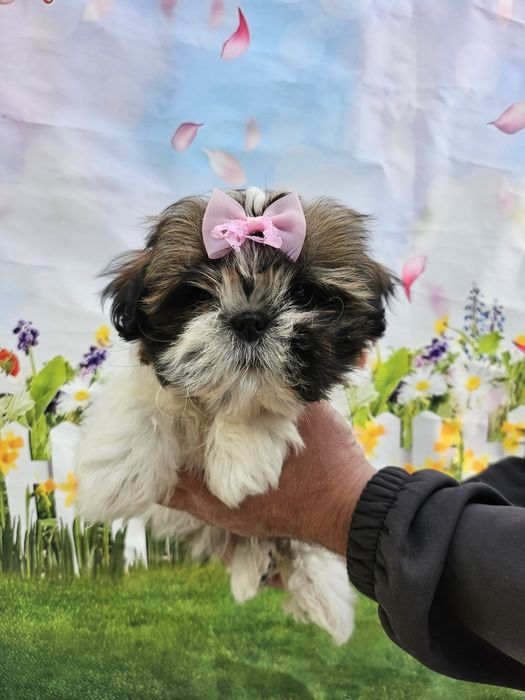 Отличный лайфхак  для сплочение семьи