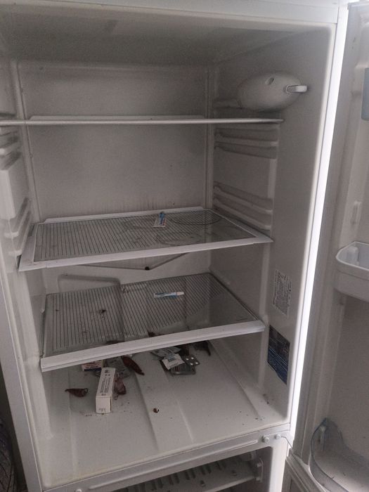 Холодильник Indesit оригинал