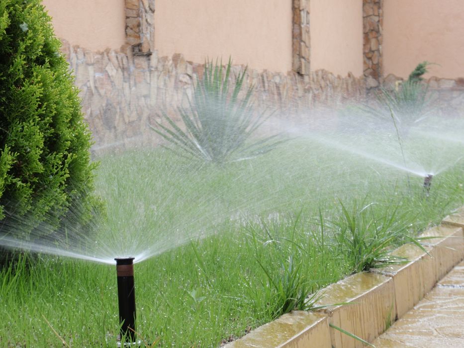 Автоматични поливни и капкови системи