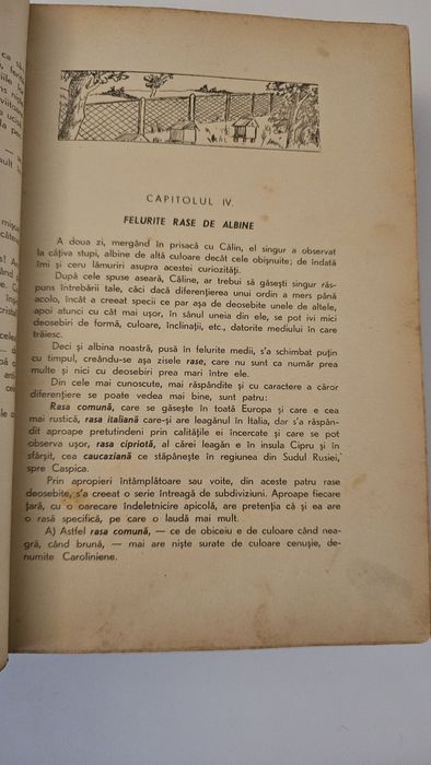 Stuparitul - cresterea albinelor