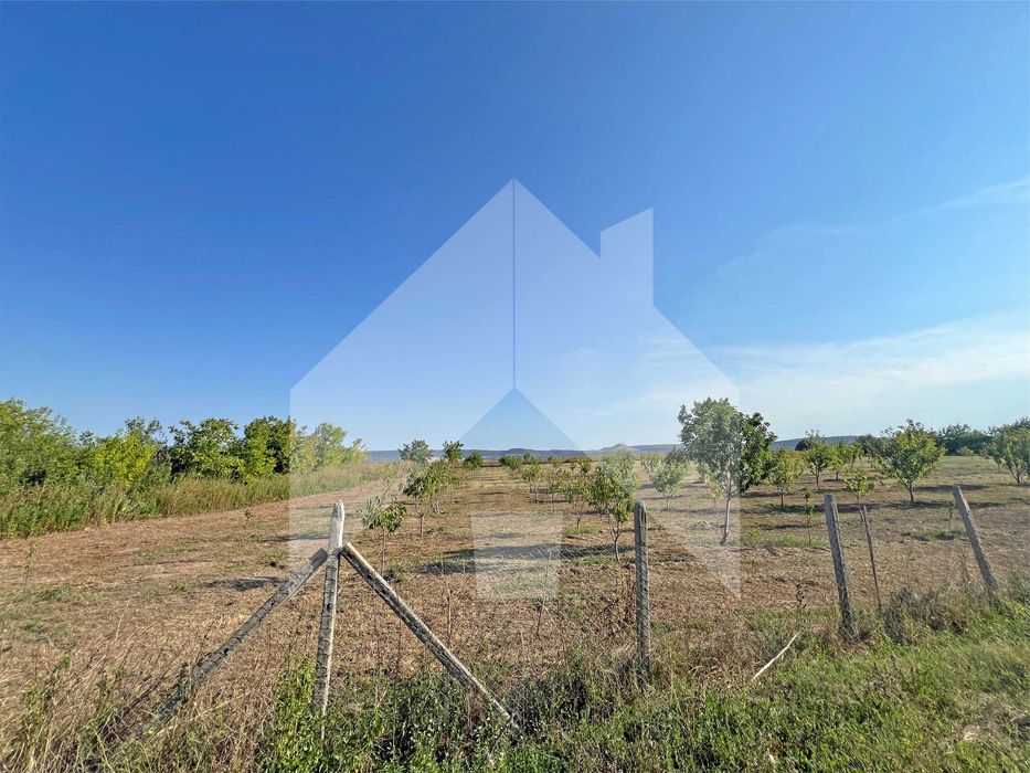 Продава се Земеделски имот в Нови пазар -  кв.м за 3643 €/дка - Снимка #6