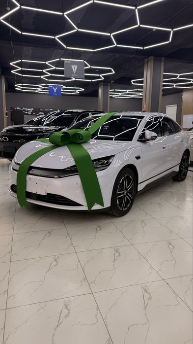 Byd qin L ev 545 km
