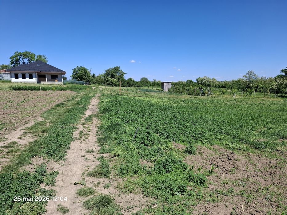TEREN la 19 km distanta de Botoșani, comuna NICȘENI intravilan, jud. Botosani - View 3