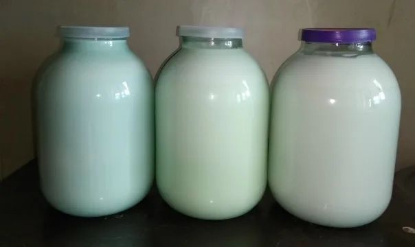 Сүт, Молоко домашное