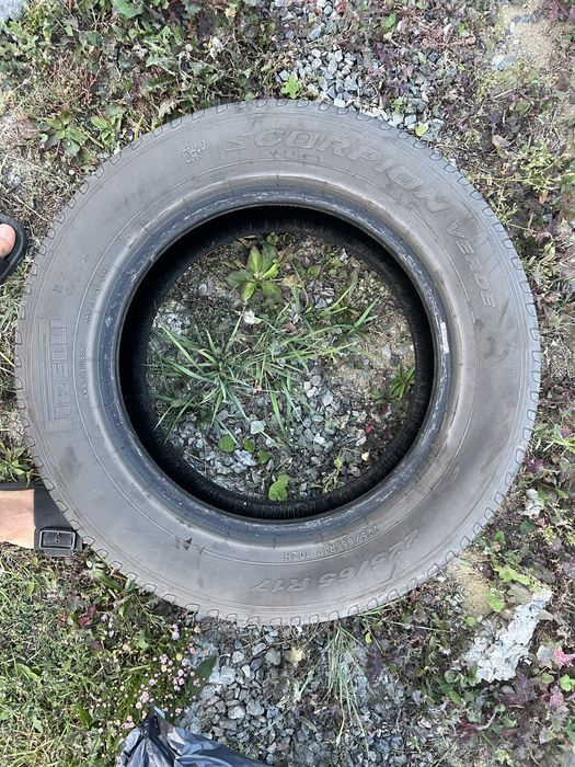 Продам шины pirelli