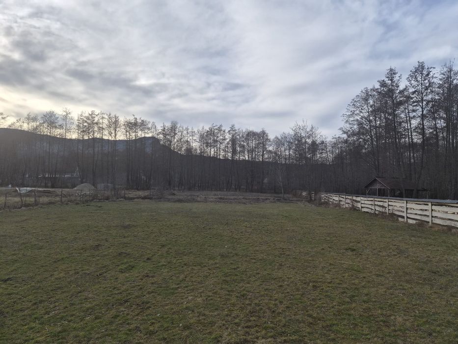 Teren 2.000 mp în Săpânța, Maramureș – între două brațe ale râului, id