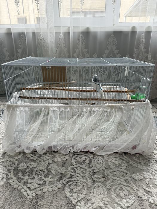 Продам клетку с попугаем