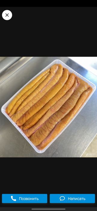 Принимаем Щучи икру сырец