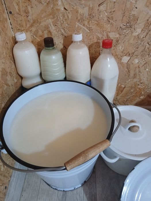 Продам свиной жир