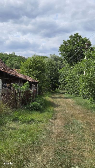 De vănzare teren intravilan Fetindia Salaj pret  1300e arul