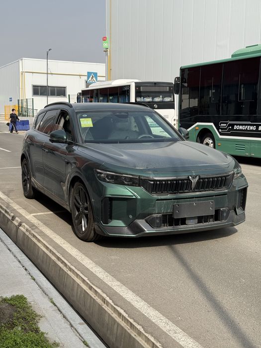 Voyah free 318 appolo tech