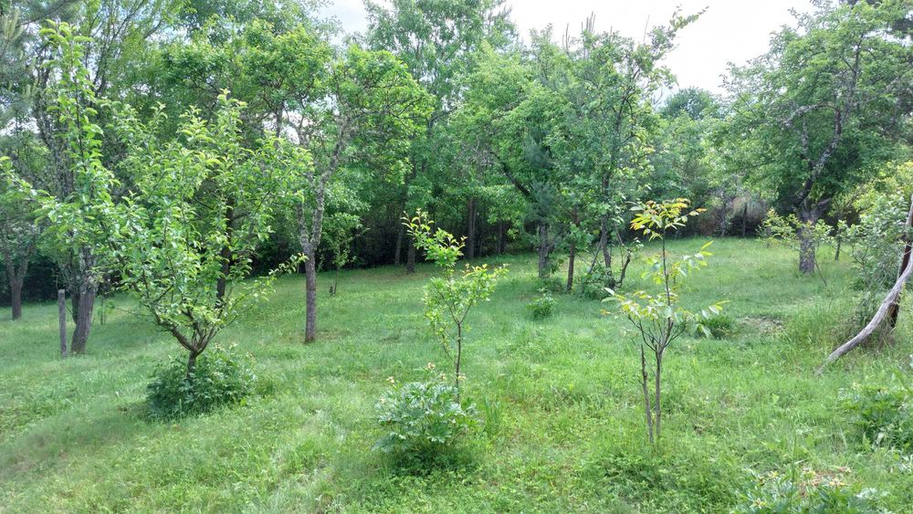 Продава се Парцел в с. Егълница, Област Перник - 1187 кв.м за 27 €/кв.м - Снимка #13