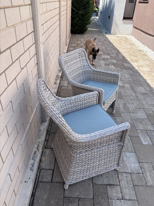 Set 2 fotolii noi Mobexpert