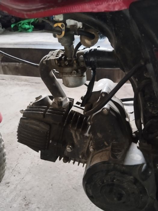 Alpha Racer 110 кубов