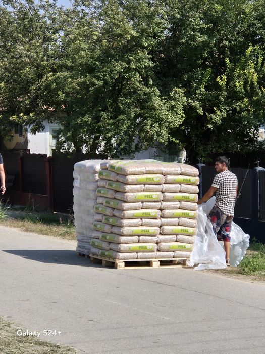 Peleti Pellup rasinoase