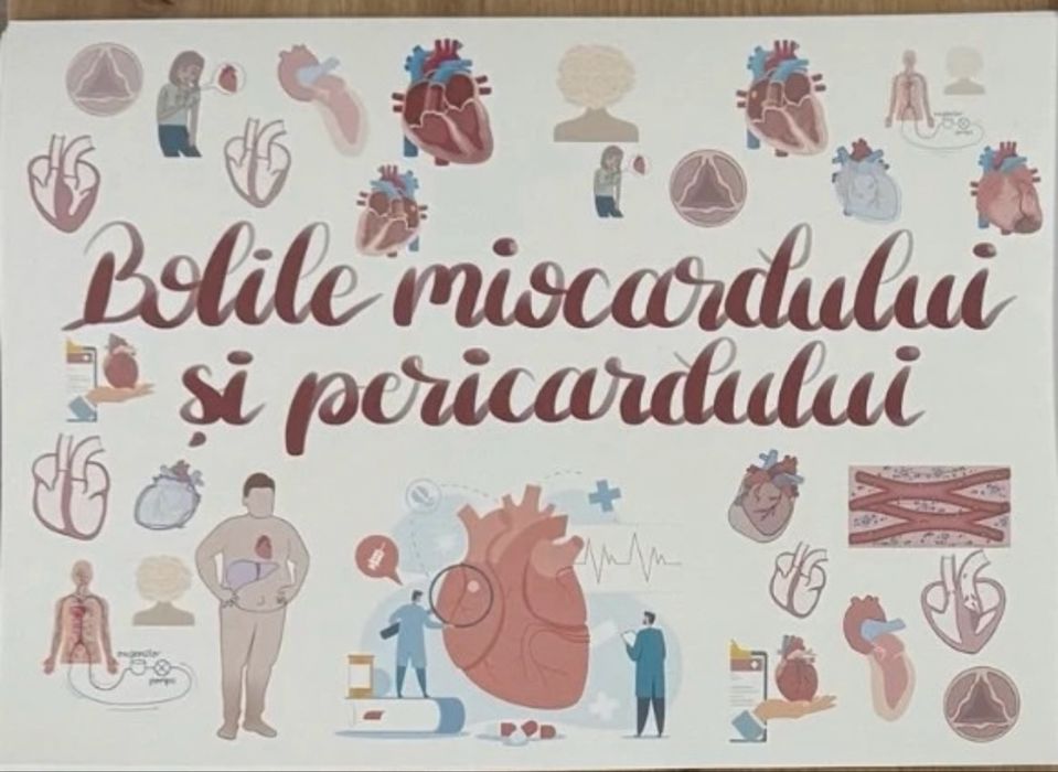 Planșe Logia Rezidențiat